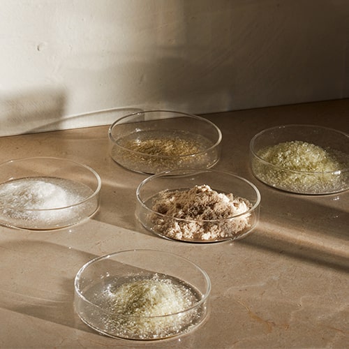image of 5 petri dishes with powdery products in them