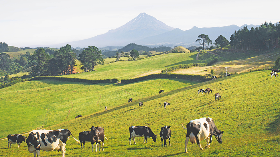 Proliant New Zealand colostrum supplier
